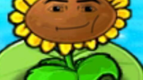 1000093527